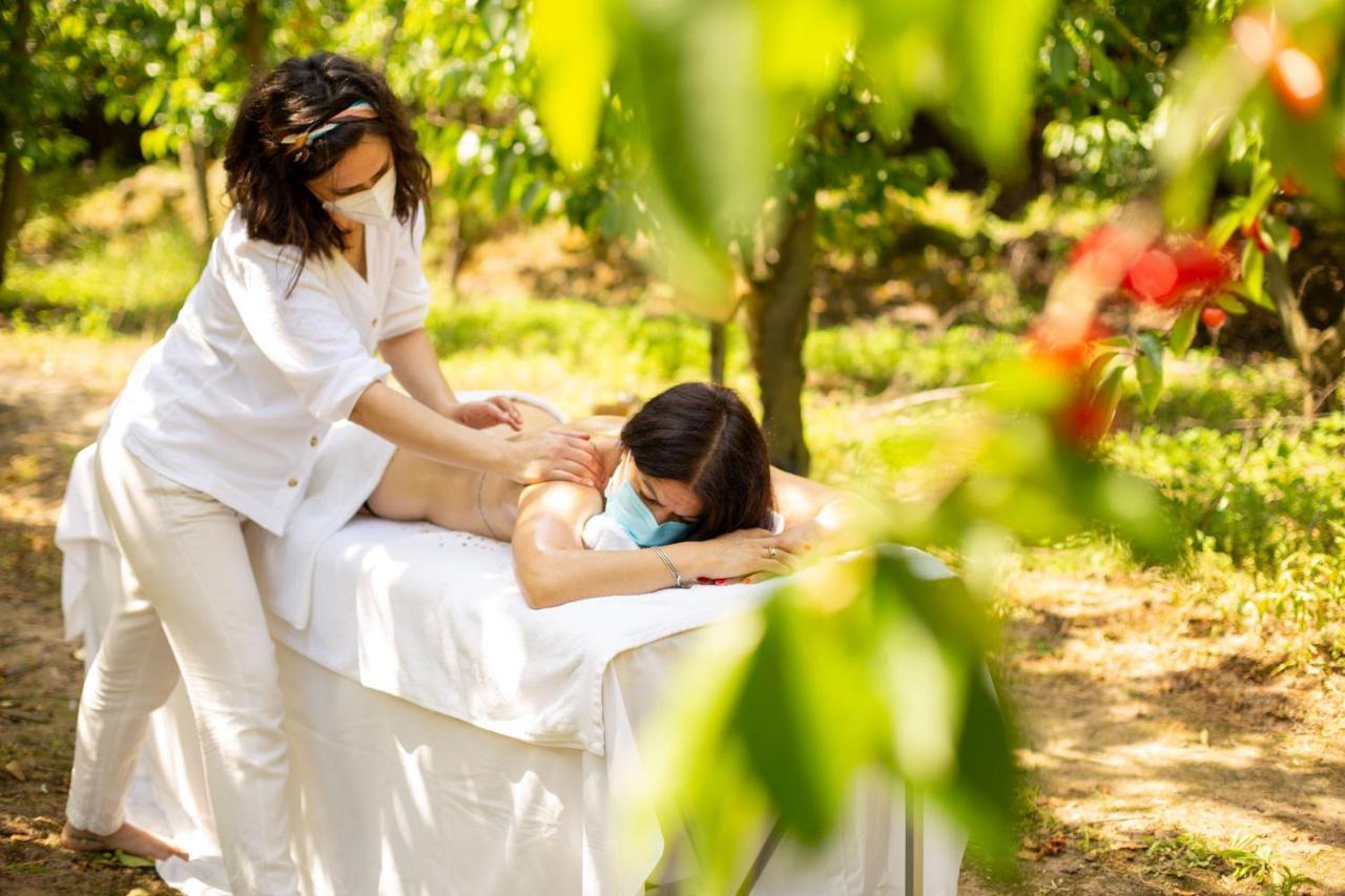 Quinta Dos Padres Santos, Agroturismo & Spa Lamego Esterno foto